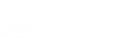 Logo SWF